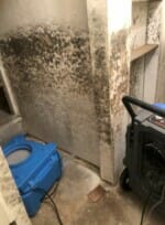 Mold damage in a Palm Beach County home.